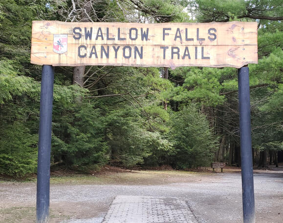 swallow falls canyon