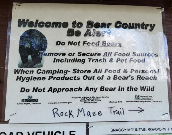 I'll do what I want!